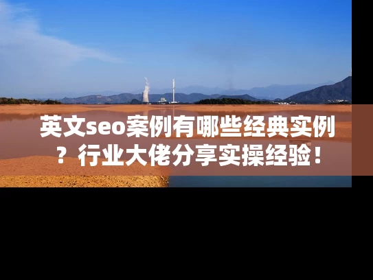英文seo案例有哪些经典实例？行业大佬分享实操经验！