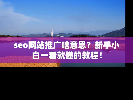 seo网站推广啥意思？新手小白一看就懂的教程！