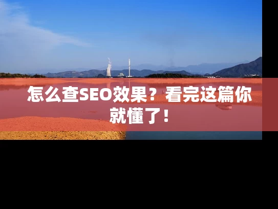 怎么查SEO效果？看完这篇你就懂了！