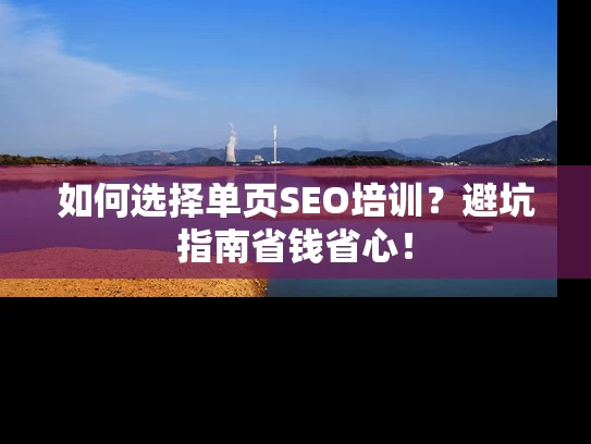 如何选择单页SEO培训？避坑指南省钱省心！