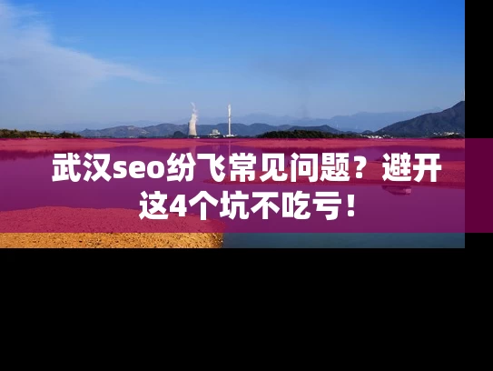 武汉seo纷飞常见问题？避开这4个坑不吃亏！