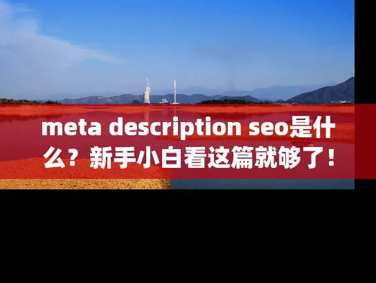 meta description seo是什么？新手小白看这篇就够了！