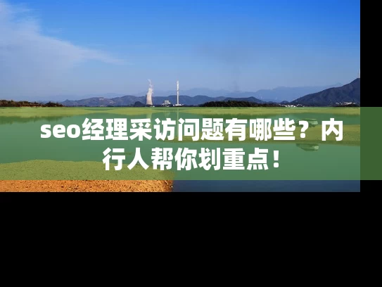 seo经理采访问题有哪些？内行人帮你划重点！