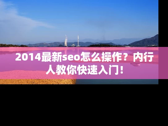 2014最新seo怎么操作？内行人教你快速入门！