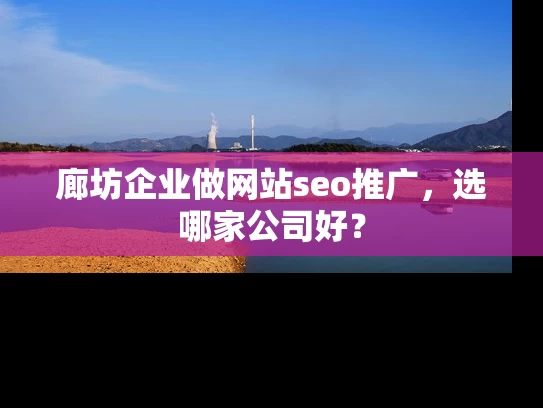 廊坊企业做网站seo推广，选哪家公司好？