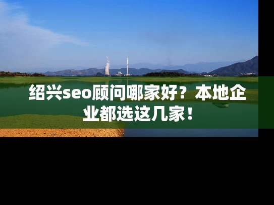 绍兴seo顾问哪家好？本地企业都选这几家！