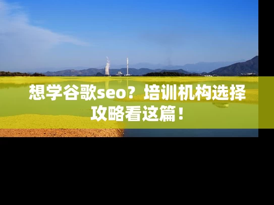 想学谷歌seo？培训机构选择攻略看这篇！