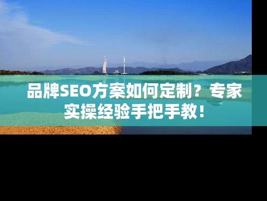 品牌SEO方案如何定制？专家实操经验手把手教！