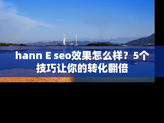 hann E seo效果怎么样？5个技巧让你的转化翻倍