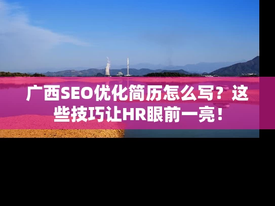 广西SEO优化简历怎么写？这些技巧让HR眼前一亮！