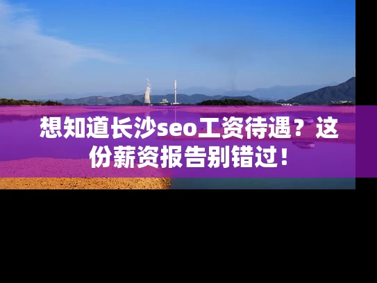 想知道长沙seo工资待遇？这份薪资报告别错过！