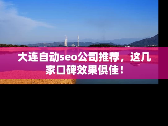 大连自动seo公司推荐，这几家口碑效果俱佳！