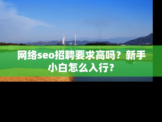 网络seo招聘要求高吗？新手小白怎么入行？