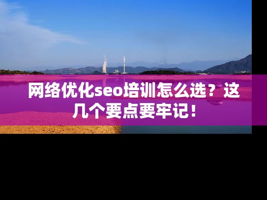 网络优化seo培训怎么选？这几个要点要牢记！
