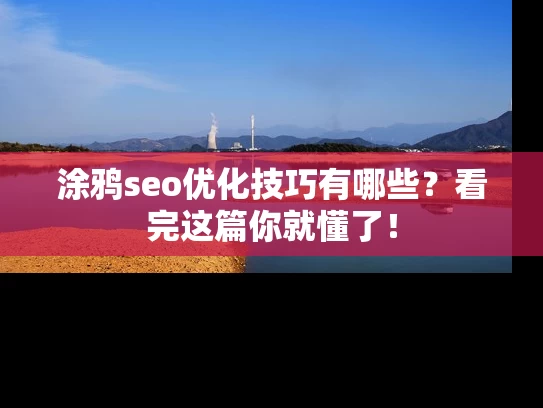 涂鸦seo优化技巧有哪些？看完这篇你就懂了！
