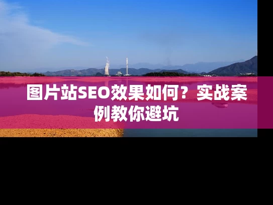 图片站SEO效果如何？实战案例教你避坑