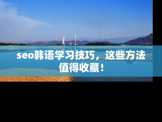 seo韩语学习技巧，这些方法值得收藏！