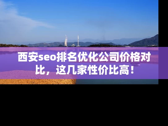 西安seo排名优化公司价格对比，这几家性价比高！