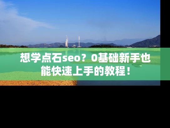 想学点石seo？0基础新手也能快速上手的教程！