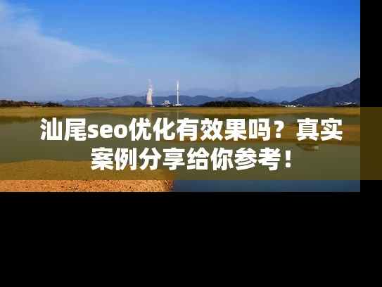 汕尾seo优化有效果吗？真实案例分享给你参考！