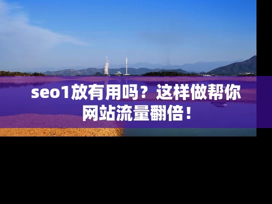 seo1放有用吗？这样做帮你网站流量翻倍！