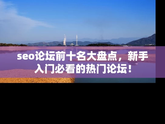 seo论坛前十名大盘点，新手入门必看的热门论坛！