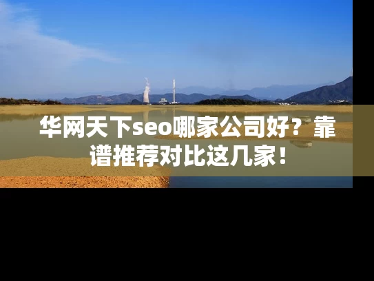华网天下seo哪家公司好？靠谱推荐对比这几家！