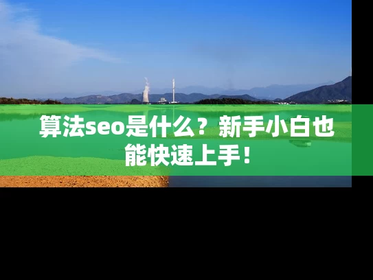 算法seo是什么？新手小白也能快速上手！