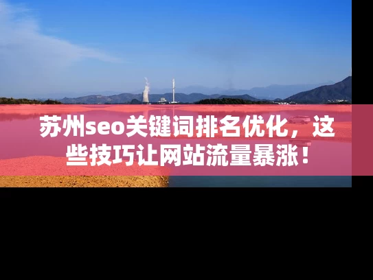苏州seo关键词排名优化，这些技巧让网站流量暴涨！