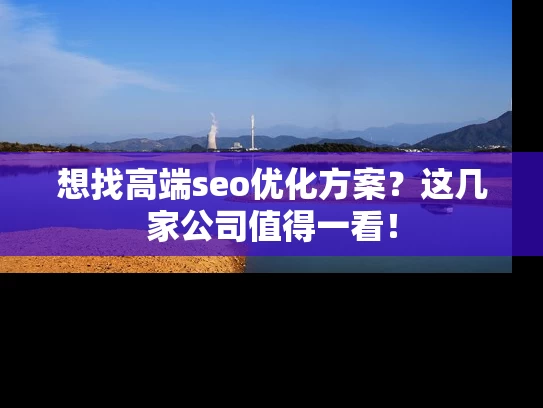 想找高端seo优化方案？这几家公司值得一看！