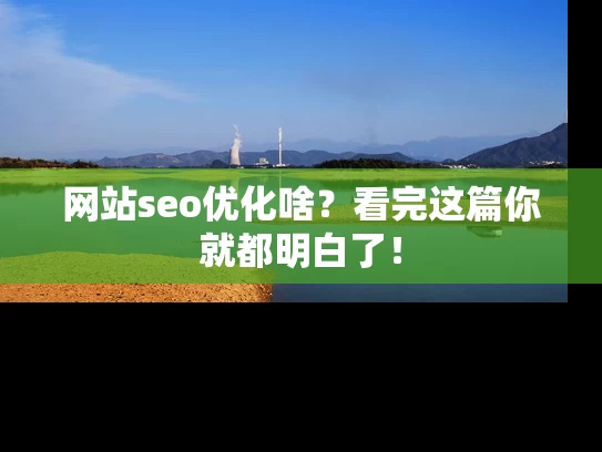 网站seo优化啥？看完这篇你就都明白了！