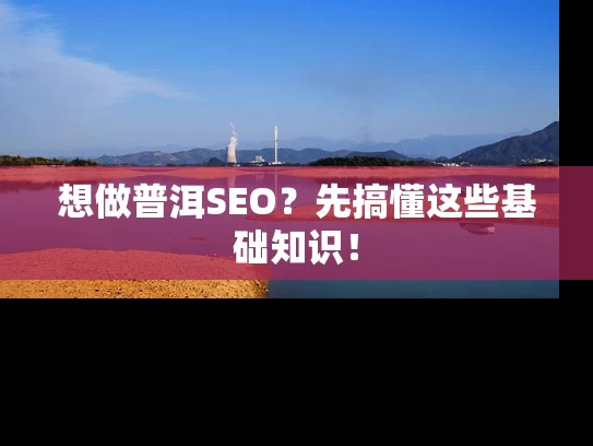 想做普洱SEO？先搞懂这些基础知识！