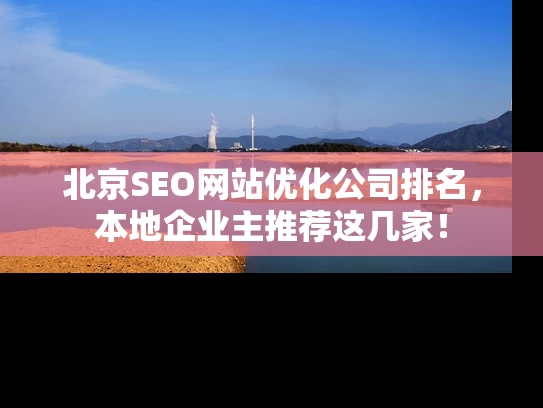 北京SEO网站优化公司排名，本地企业主推荐这几家！