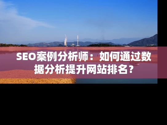 SEO案例分析师：如何通过数据分析提升网站排名？