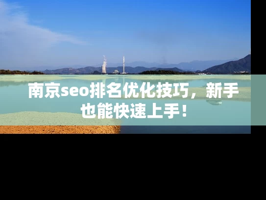南京seo排名优化技巧，新手也能快速上手！
