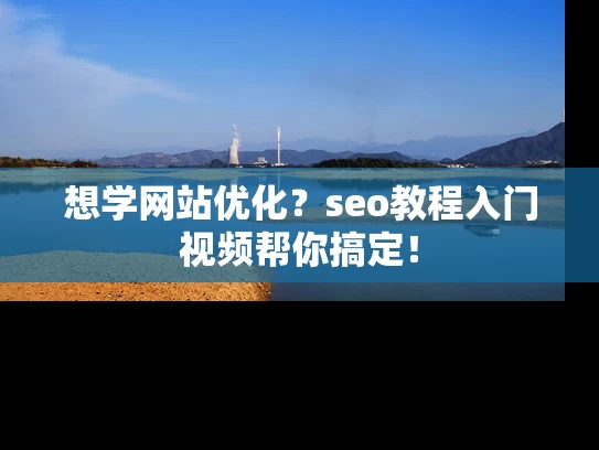 想学网站优化？seo教程入门视频帮你搞定！