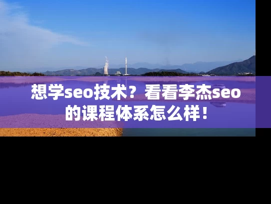 想学seo技术？看看李杰seo的课程体系怎么样！