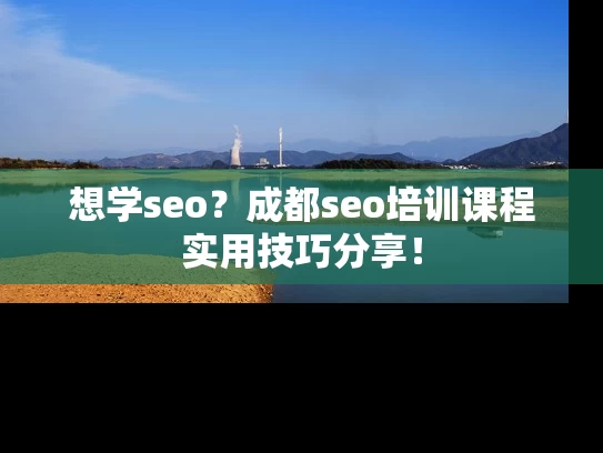想学seo？成都seo培训课程实用技巧分享！