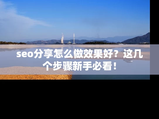 seo分享怎么做效果好？这几个步骤新手必看！