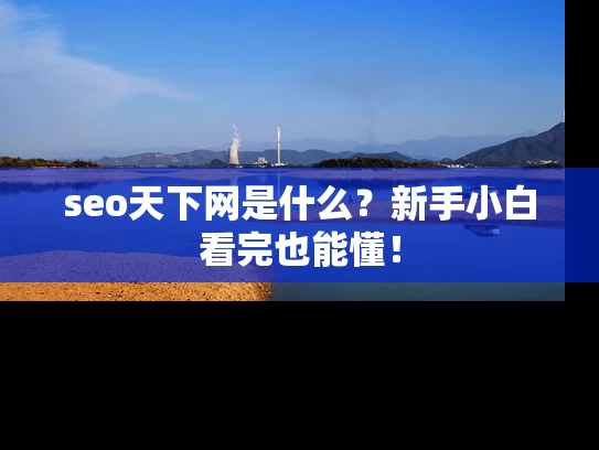 seo天下网是什么？新手小白看完也能懂！