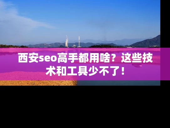 西安seo高手都用啥？这些技术和工具少不了！