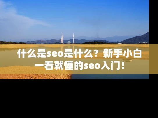 什么是seo是什么？新手小白一看就懂的seo入门！
