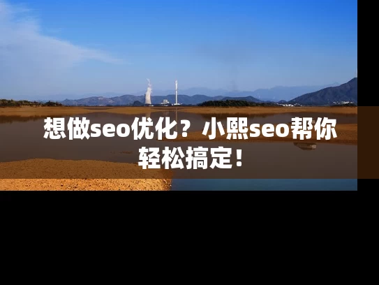 想做seo优化？小熙seo帮你轻松搞定！