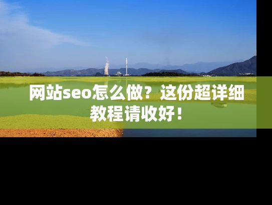 网站seo怎么做？这份超详细教程请收好！
