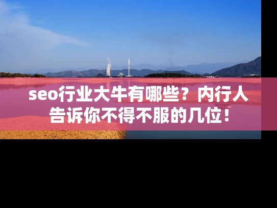 seo行业大牛有哪些？内行人告诉你不得不服的几位！