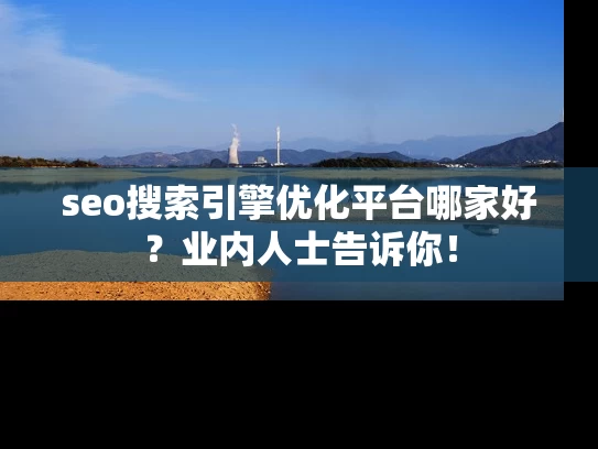 seo搜索引擎优化平台哪家好？业内人士告诉你！