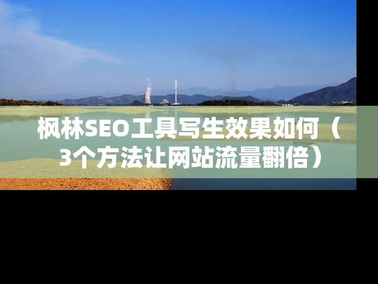 枫林SEO工具写生效果如何（3个方法让网站流量翻倍）
