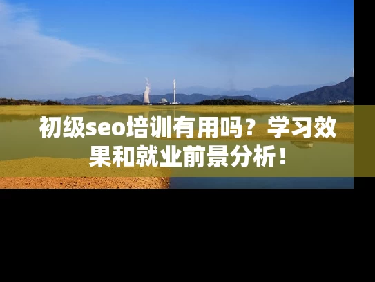 初级seo培训有用吗？学习效果和就业前景分析！