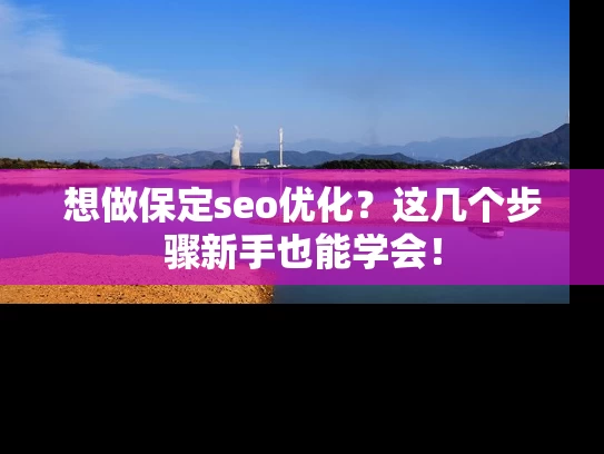 想做保定seo优化？这几个步骤新手也能学会！