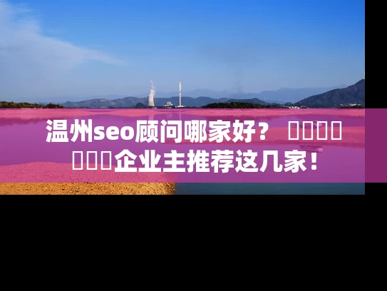 温州seo顾问哪家好？ স্থানীয়企业主推荐这几家！